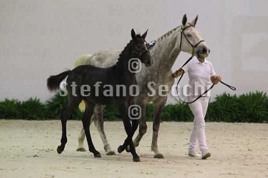 CA D ORO_MILANO_2010_SS3_3963.jpg